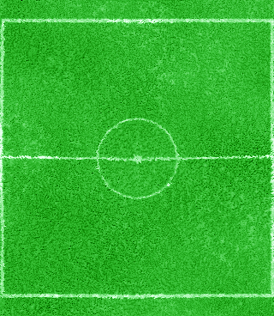 Grass field texture